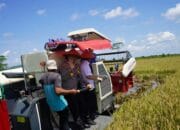 Panen Raya Jadi Simbol Keberpihakan Negara ke Petani
