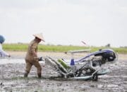 Gubernur Agustiar Sabran Hadiri Gerakan Tanam Padi Secara Serentak, Fokus Swasembada Pangan