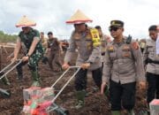 Tiga Kecamatan di Palangka Raya Jadi Lokasi Penanaman Jagung Serentak Polda Kalteng