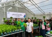 Smart Farming PLN Hadirkan Solusi Pangan di Gambut