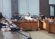 Pemulihan Lingkungan Jadi Sorotan, DLH dan DPRD Kalteng Desak Perusahaan Tuntaskan Reboisasi DAS