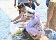 Dorong Pelestarian dan Wisata, Gubernur Kalteng Tebar Benih Ikan di Embung Danau Asam