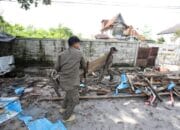 PKL Jalan RTA Milono Ditertibkan Demi Kelancaran Drainase