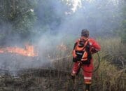 Manggala Agni Perkuat Edukasi dan Patroli Karhutla di Palangka Raya
