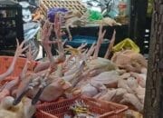 Inflasi Kota Palangka Raya Terkendali Sepanjang Tahun 2025