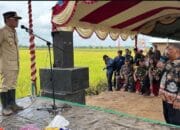 Pemprov Kalteng Dorong Ketahanan Pangan Lewat Panen Raya di Kapuas