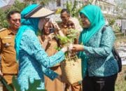 Gerakan Pekarangan Jadi Upaya Kolektif Wujudkan Kota Mandiri