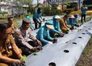 Pemanfaatan Pekarangan Jadi Langkah Strategis Kemandirian Pangan