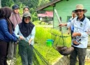 Panen Bibit Ikan, Pemkab Barito Utara Buka Peluang Usaha Perikanan bagi Warga