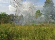 150 Titik Karhutla Terjadi di Palangka Raya, Jekan Raya Paling Rawan