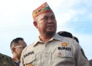 Saiful Ajak Pemerintah Pusat Bersinergi Jaga Hutan Sebangau