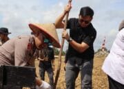 Jagung Jadi Harapan Baru Petani Barito Utara, Pemkab dan Polres Turun ke Lahan Dukung Swasembada Pangan