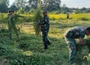 Koramil Katingan Tengah Awali Pembangunan Koperasi Merah Putih dengan Gotong Royong