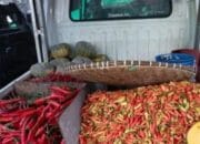 Pasokan Stabil, Inflasi Palangka Raya Tetap Terkendali