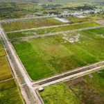 Produksi Padi Kalimantan Tengah 2025 Turun, Kapuas Masih Tertinggi image (2)
