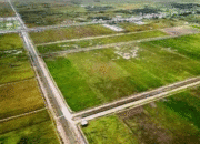 Produksi Padi Kalimantan Tengah 2025 Turun, Kapuas Masih Tertinggi