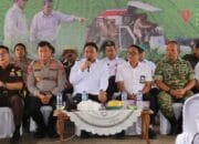 Panen Raya Bersama Presiden, Kalteng Optimalkan Program Pertanian Dukung Kedaulatan Pangan