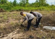 Cek Kesiapan Lahan, Polsek Pahandut Siap Mulai Tanam Jagung Februari Ini
