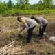 Cek Kesiapan Lahan, Polsek Pahandut Siap Mulai Tanam Jagung Februari Ini
