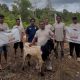 DPW TMI Kalteng Serahkan Bantuan Kurban Untuk Petani Dan Warga Palangka Raya