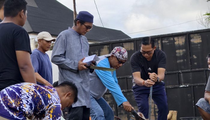 Ibadah Qurban, Sebelas Sapi dan Tiga Kambing Disalurkan oleh DPW NasDem Kalteng