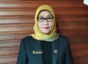 DPRD Kalteng Soroti Pasokan Solar Nelayan Kian Terbatas