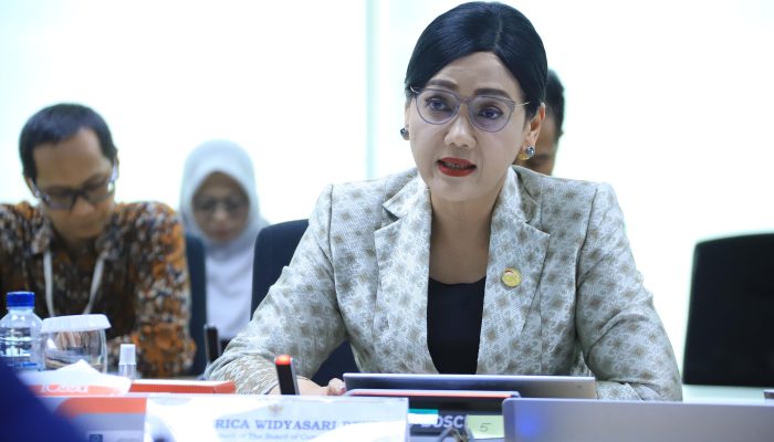 OECD Apresiasi Reformasi OJK, Perkuat Asuransi dan Dana Pensiun