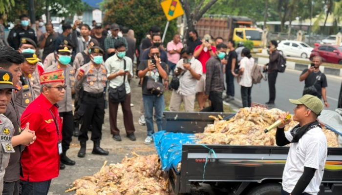 Listrik Padam Berulang, Peternak Kalteng Ancam Tempuh Jalur Hukum usai Demo Lempar Ayam Busuk