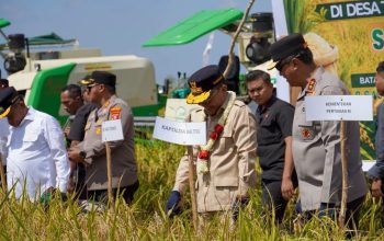 Panen Raya Kapuas Tegaskan Komitmen Kalteng Menjadi Penyangga Ketahanan Pangan Nasional