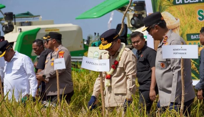 Panen Raya Kapuas Tegaskan Komitmen Kalteng Menjadi Penyangga Ketahanan Pangan Nasional