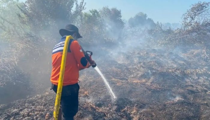 Empat Helikopter Disiagakan, Kalteng Tingkatkan Kesiapsiagaan Hadapi Ancaman Karhutla