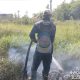 Dalkarhutla Dishut Kalteng Padamkan Karhutla Langkai dan Bukit Tunggal 