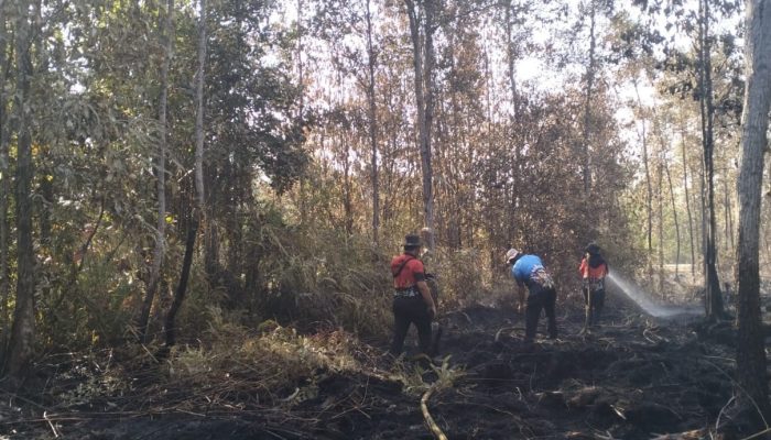 Respons Cepat Brigdalkar Padamkan Karhutla di Desa Madara