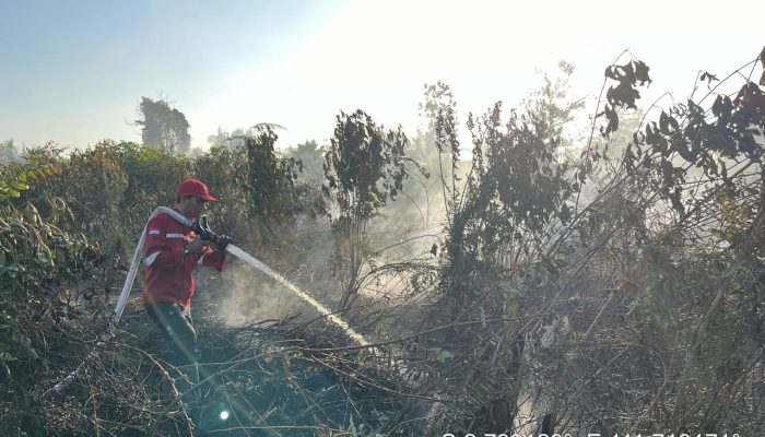 Tim Gabungan Intensif Padamkan Karhutla Lahan Gambut di Kumai