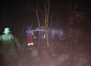 Brigdalkarhut Dishut Kalteng Tuntaskan Pemadaman Karhutla di Timpah
