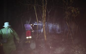 Brigdalkarhut Dishut Kalteng Tuntaskan Pemadaman Karhutla di Timpah