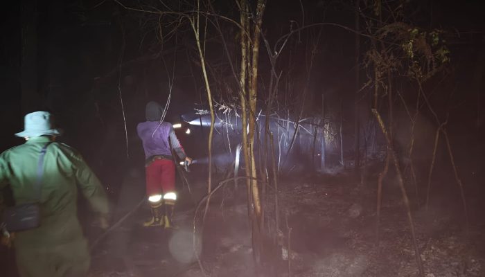 Brigdalkarhut Dishut Kalteng Tuntaskan Pemadaman Karhutla di Timpah