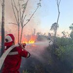 Api Karhutla Timpah Padam, Tim Gabungan Cegah Meluas IMG-20260807-WA0029(1)