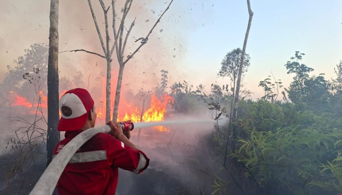 Api Karhutla Timpah Padam, Tim Gabungan Cegah Meluas