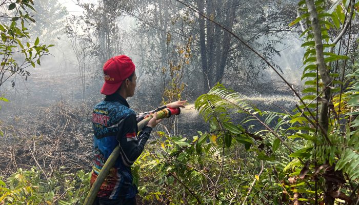 Tim Gabungan Padamkan Karhutla di Kawasan Tahura Sabaru