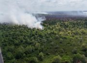 Tim Gabungan Tangani Karhutla di Kawasan Tahura Sabaru