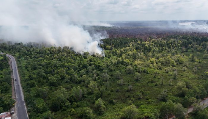 Tim Gabungan Tangani Karhutla di Kawasan Tahura Sabaru