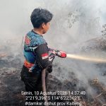 IMG-20260810-WA0068