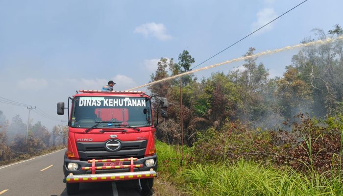 Petugas Kehutanan Kalteng Percepat Penanganan Karhutla Bukit Liti