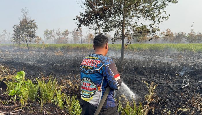 Karhutla Petuk Ketimpun Dipadamkan, Tim Dishut Kalteng Selalu Siap Siaga