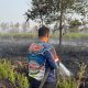 Karhutla Petuk Ketimpun Dipadamkan, Tim Dishut Kalteng Selalu Siap Siaga