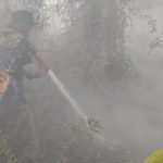 IMG-20260812-WA0099