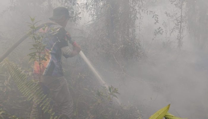 Tumbang Nusa Kembali Terbakar, Petugas Berjuang di Lahan Gambut