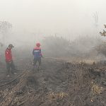 IMG-20260812-WA0117