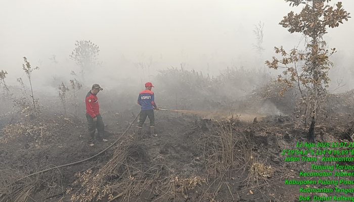 Petugas Dalkarhutla Percepat Pemadaman Karhutla di Tumbang Nusa